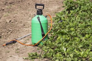 Roundup Dispenser