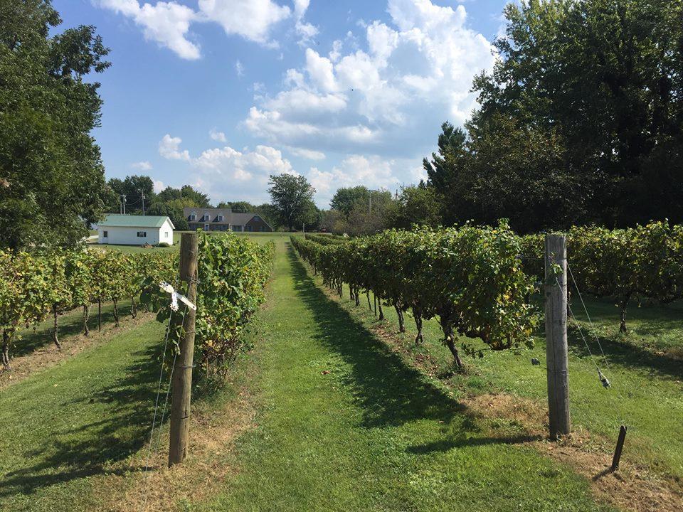 Purple Toad Winery Paducah Kentucky