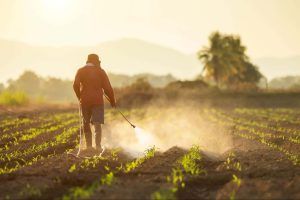 Farm worker spraying herbicide in a field.