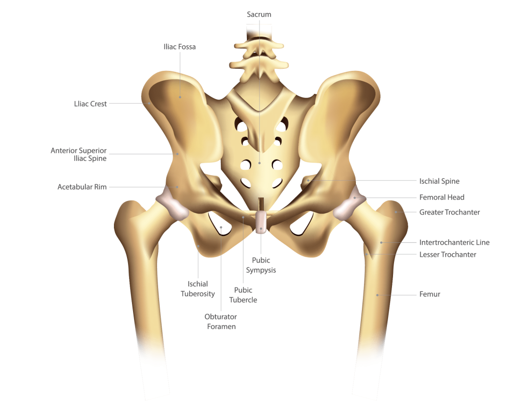 Hip Pain: Treatment, Procedure, Cost, Recovery, Side Effects And More