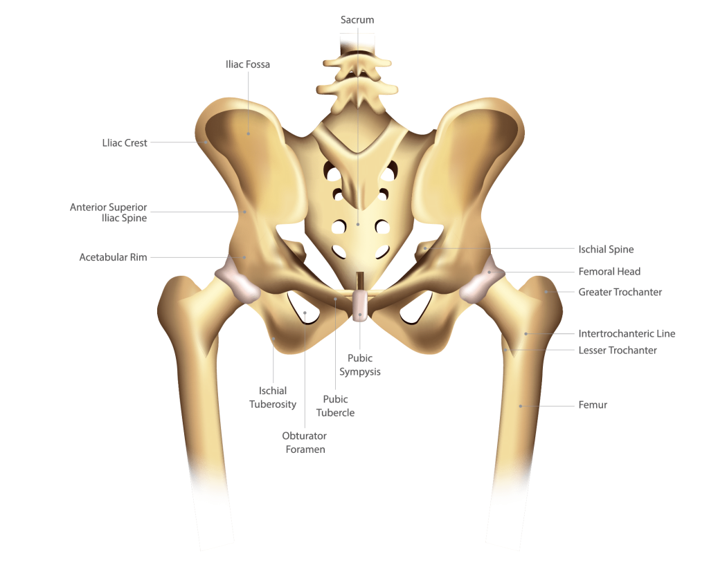 Hip Pain After Car Accidents: Causes, Signs, and What to Do