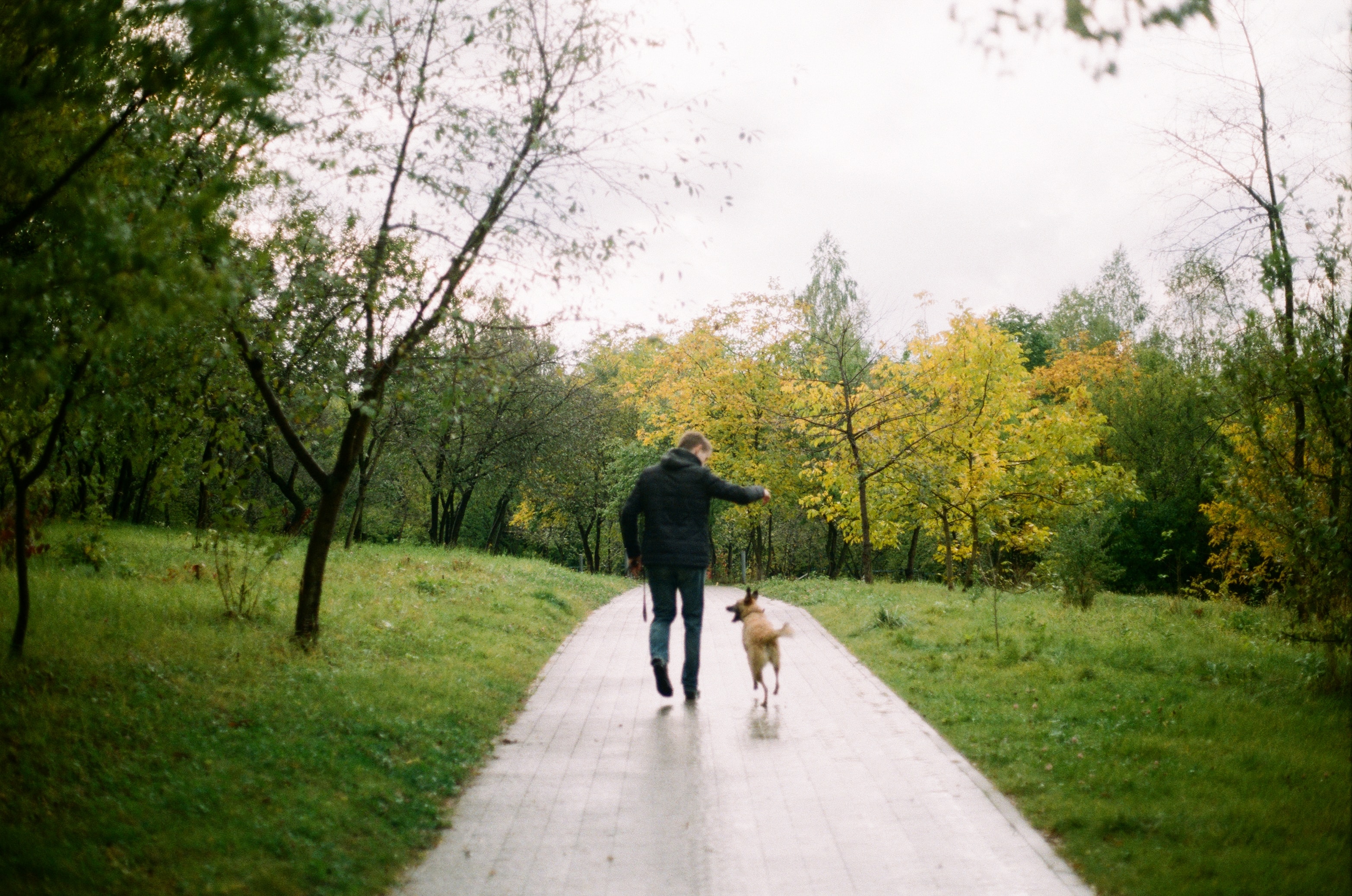 dog owner and dog walking in a park