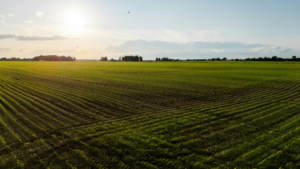 Open farm land. Landowners affected by PFAS from biosolids may have legal options.